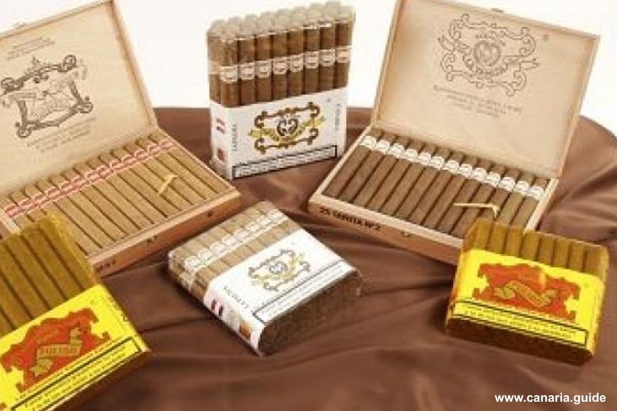 Cigary puros palmeros