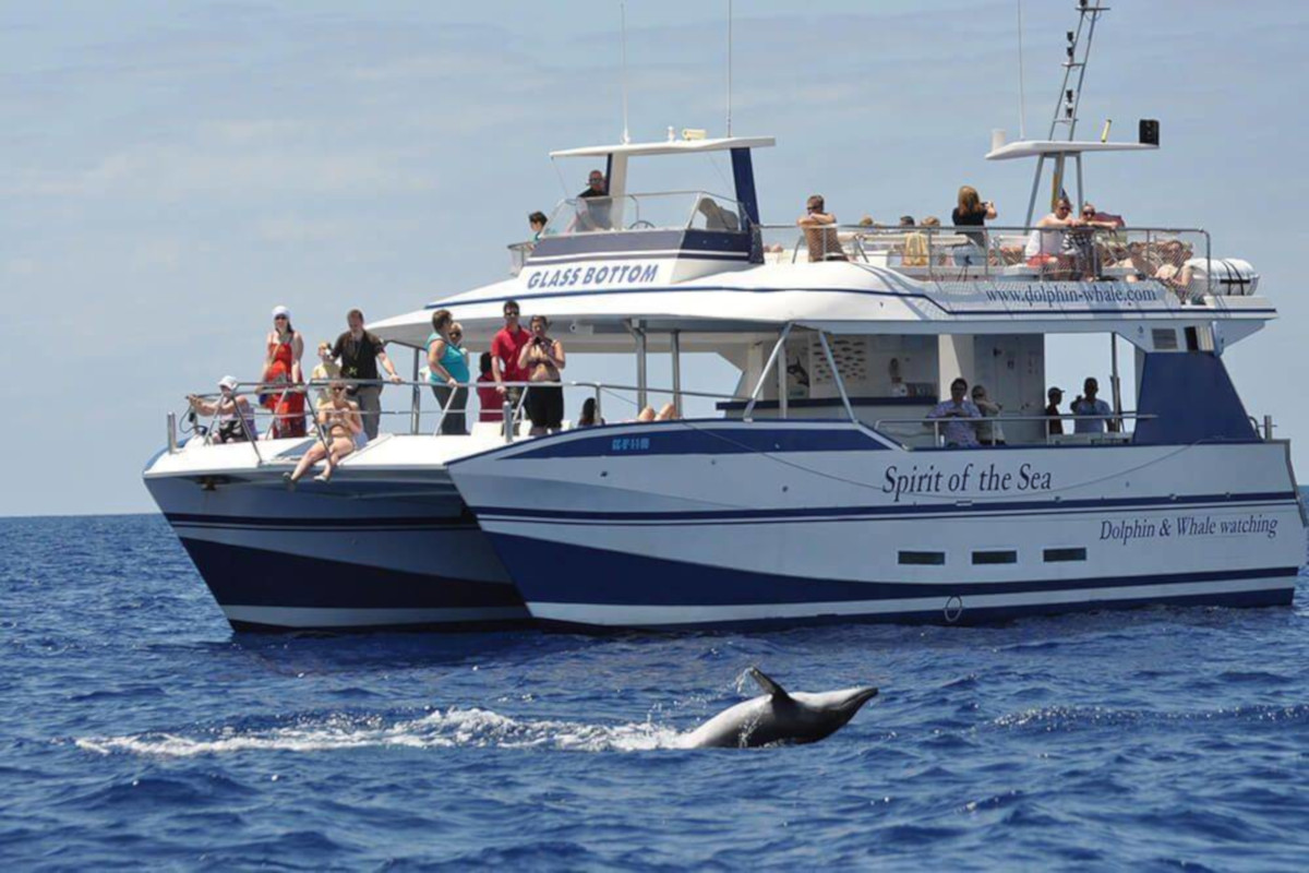 Spirit of the Sea