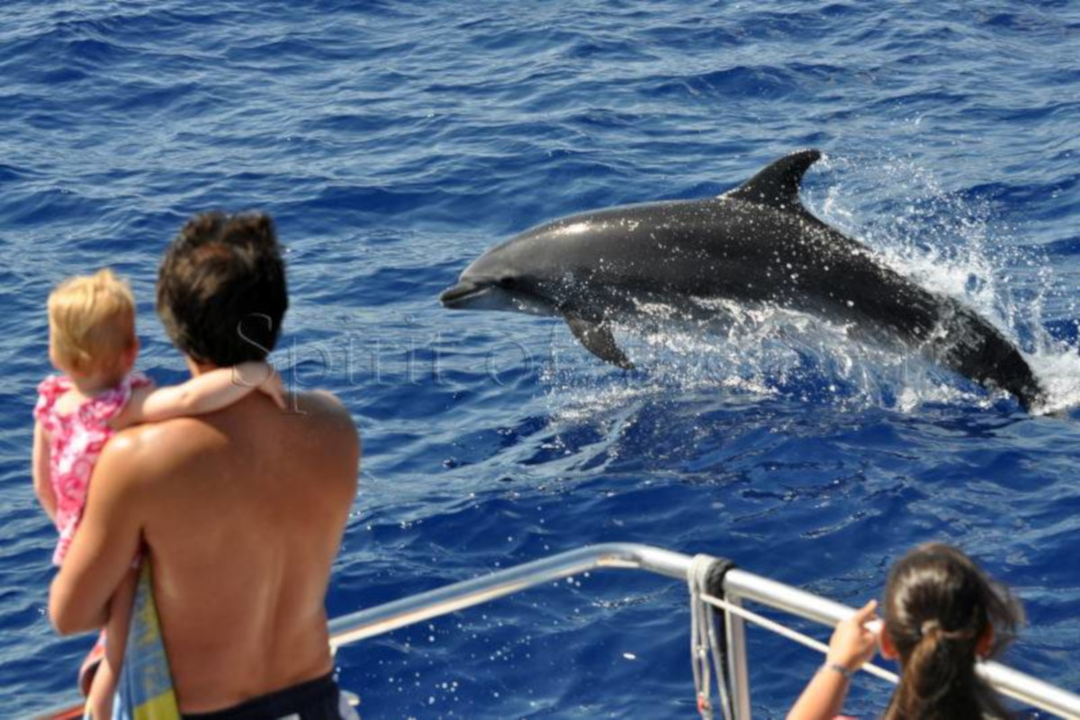 Spirit of the Sea