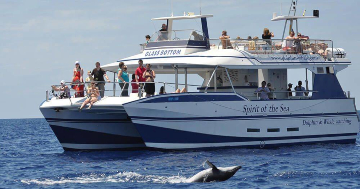 Spirit of the Sea