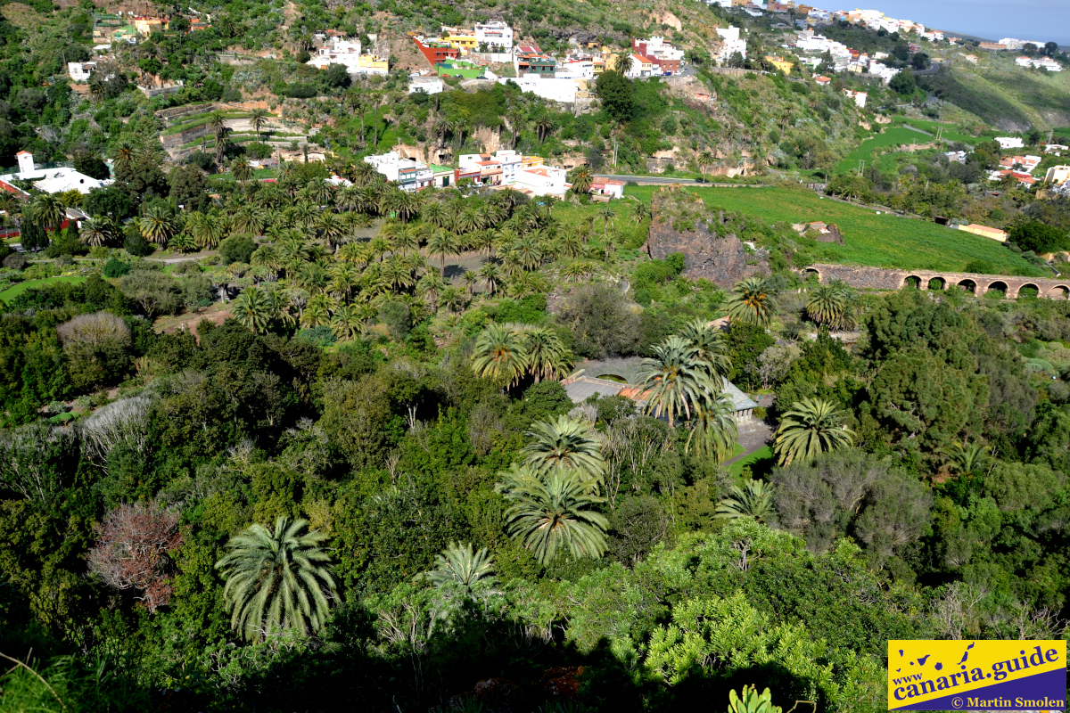 Jardín Botánico Canario Viera y Clavijo